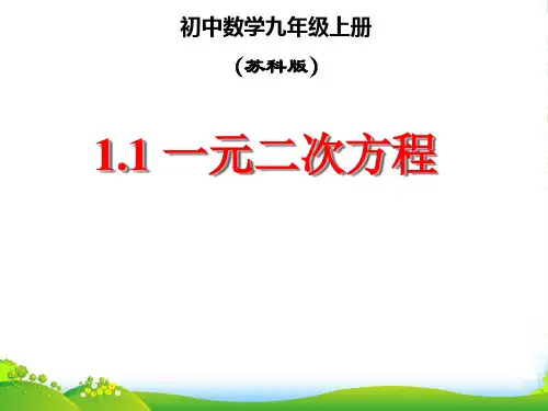 苏教版九年级数学上册《一元二次方程》课件(共19张PPT)