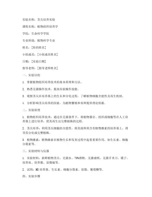 茎尖培养实验报告