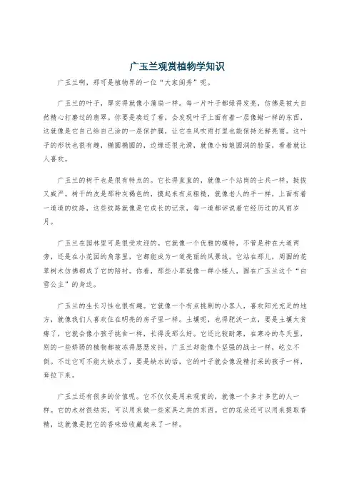 广玉兰观赏植物学知识