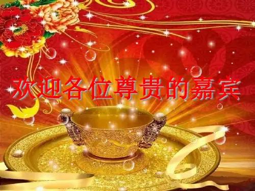 《保单年检会》ppt课件58页PPT