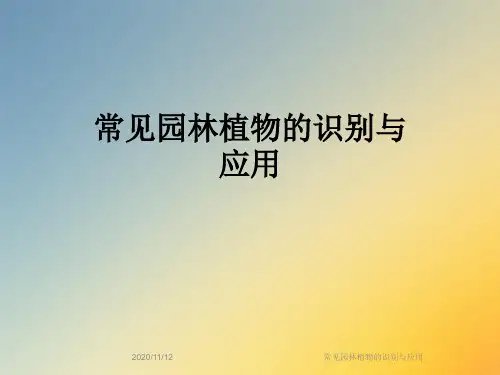 常见园林植物的识别与应用