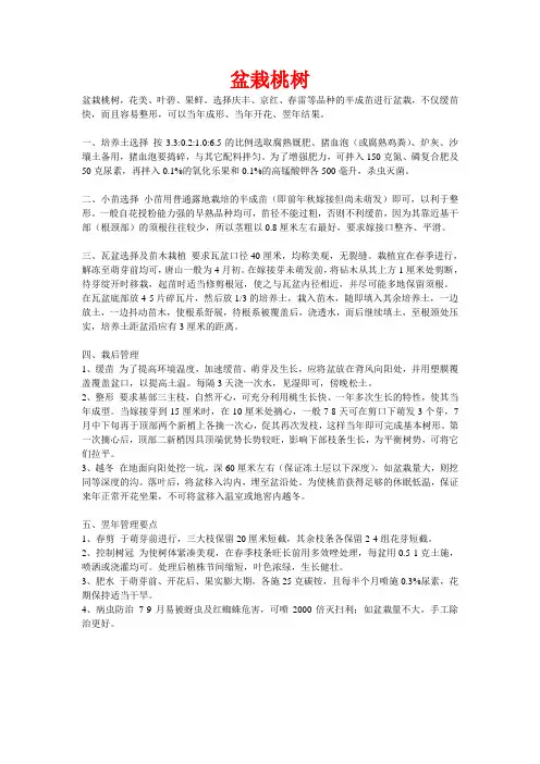 盆栽桃树