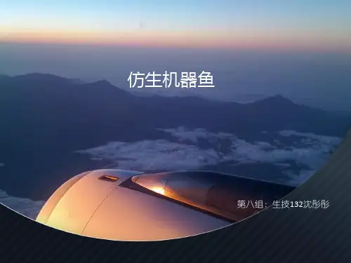 仿生机器鱼设计概要