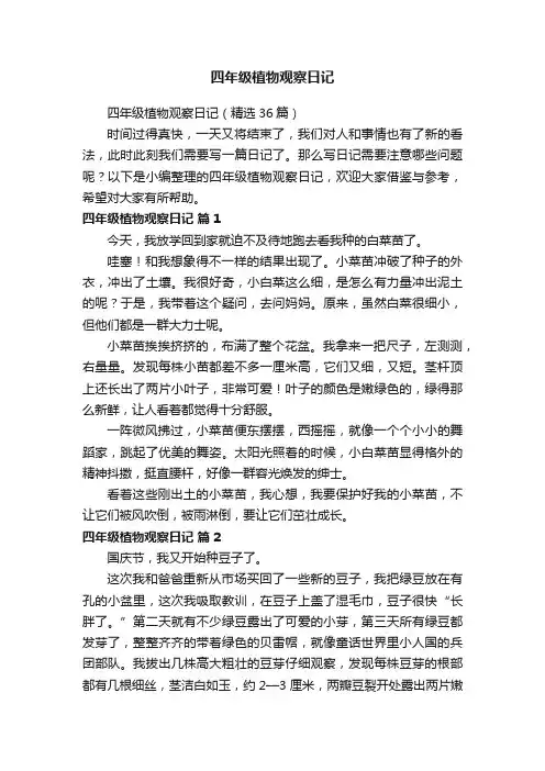 四年级植物观察日记（精选36篇）
