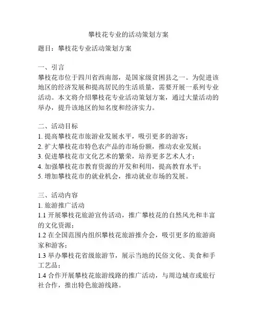 攀枝花专业的活动策划方案