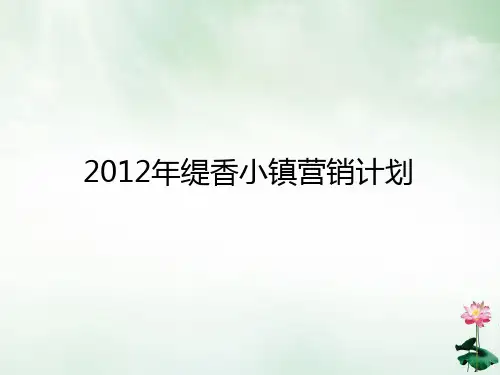 某小镇营销计划概论(PPT104页)