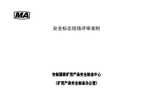 安全标志现场评审准则
