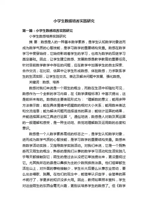 小学生数感培养实践研究
