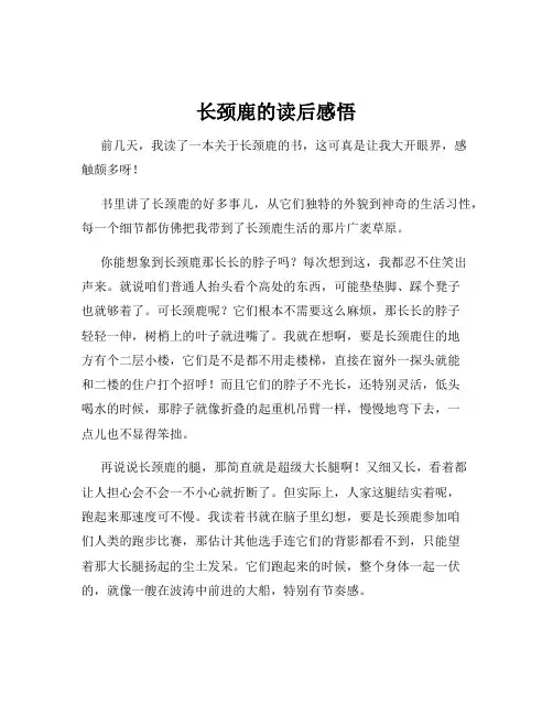 长颈鹿的读后感悟