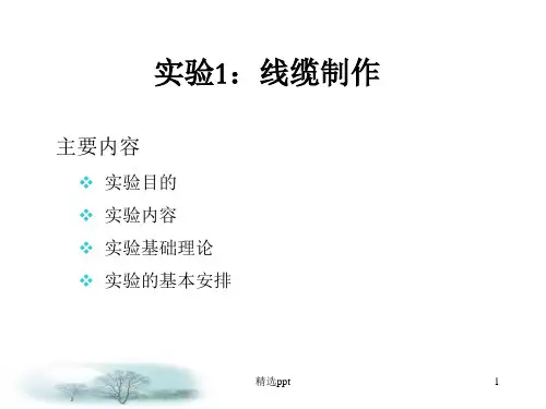 《实验1线缆制作》PPT课件