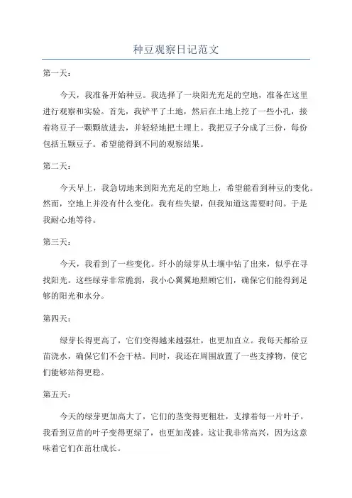 种豆观察日记范文