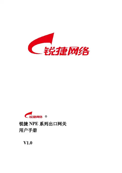 锐捷NPE系列出口网关用户手册