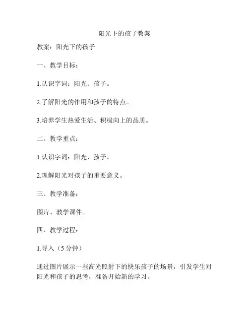 阳光下的孩子教案