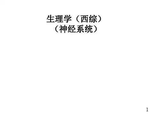 生理学西综10(神经)