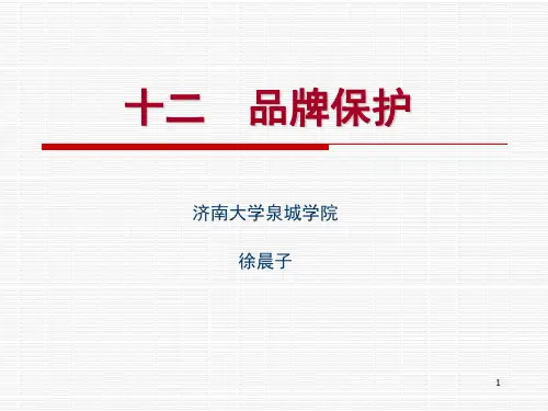 品牌维护