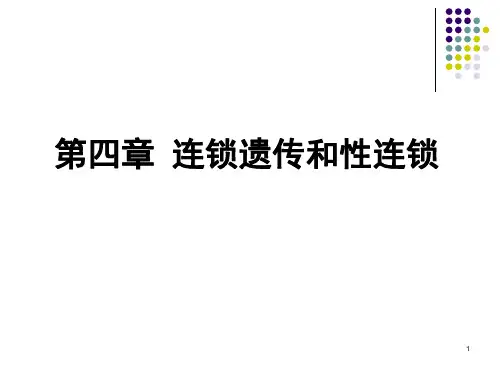生物课件 连锁遗传
