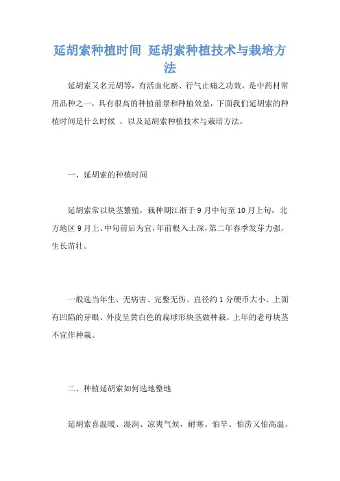 延胡索种植时间 延胡索种植技术与栽培方法
