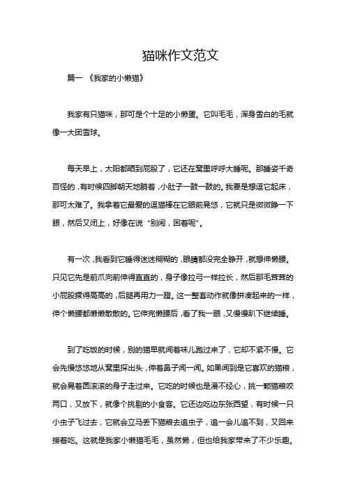 猫咪作文范文