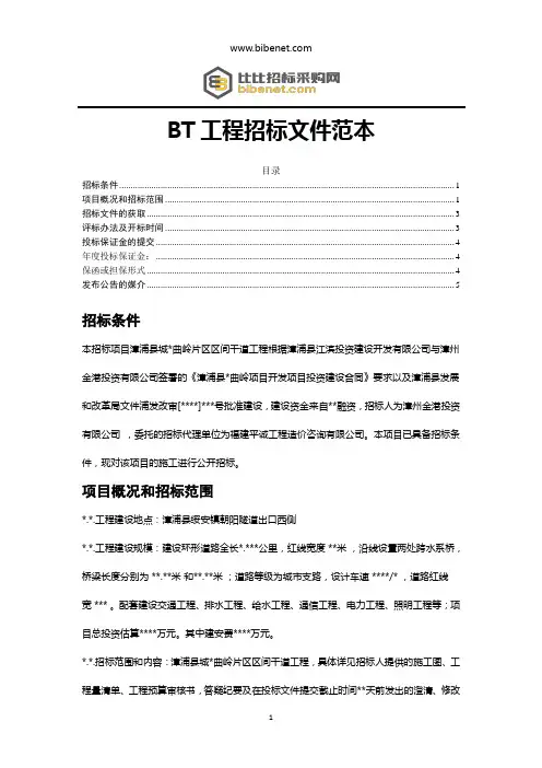 BT工程招标文件范本