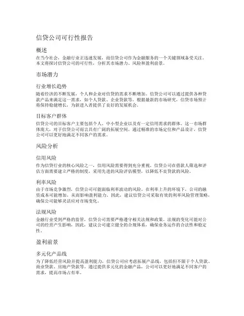 信贷公司可行性报告