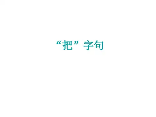 对外汉语教学语法--“把”字句