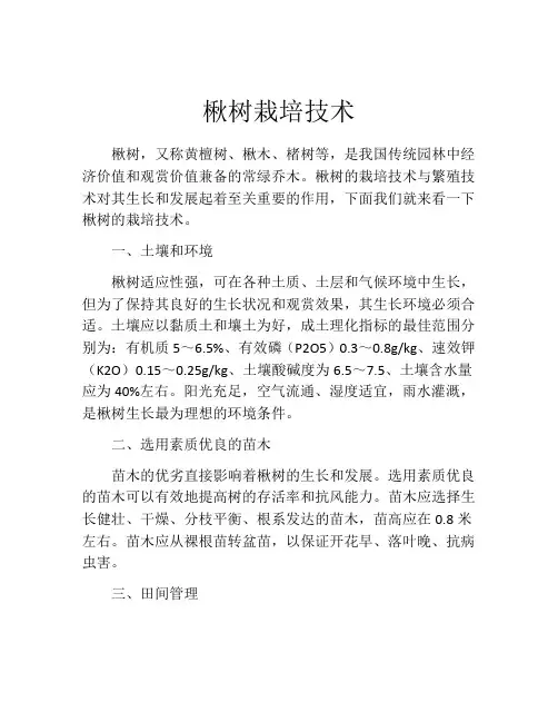 楸树栽培技术