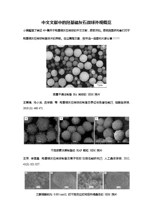 中文文献中的羟基磷灰石微球外观概览
