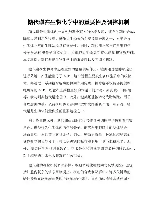 糖代谢在生物化学中的重要性及调控机制