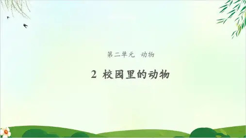 《校园里的动物》课件完整版PPT