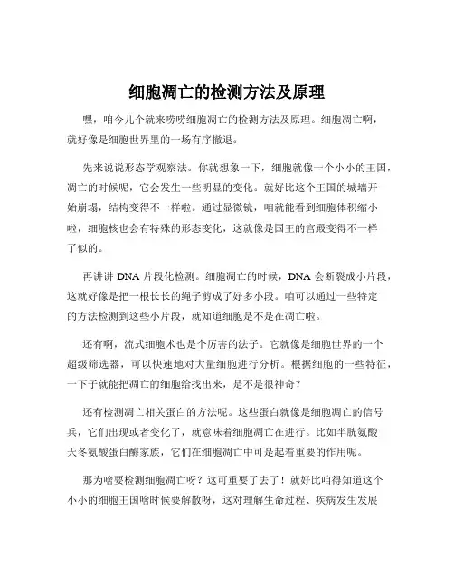 细胞凋亡的检测方法及原理
