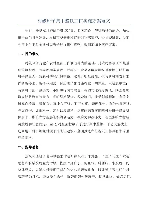 村级班子集中整顿工作实施方案范文