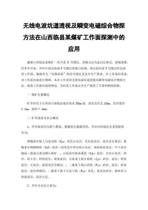 无线电波坑道透视及瞬变电磁综合物探方法在山西临县某煤矿工作面探测中的应用