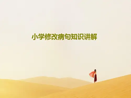 小学修改病句知识讲解56页PPT