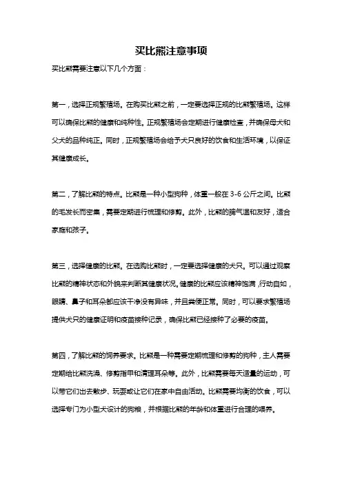买比熊注意事项