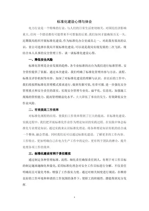安全生产标准化建设心得