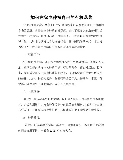 如何在家中种植自己的有机蔬菜