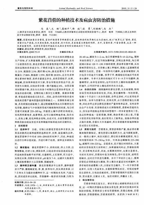 紫花苜蓿的种植技术及病虫害防治措施