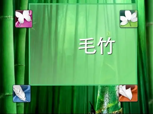 邓磷曦 毛竹