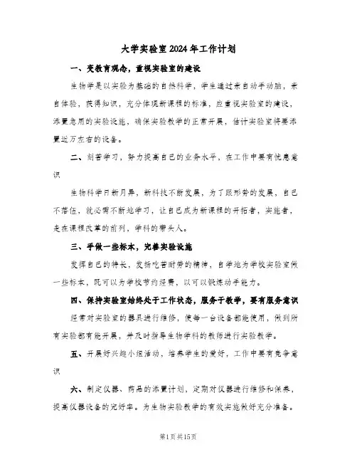 大学实验室2024年工作计划（6篇）