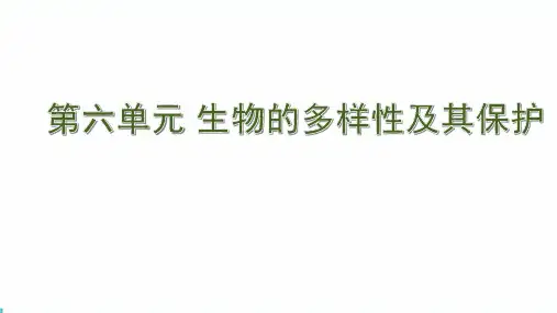中考会考生物的多样性及其保护知识点练习题