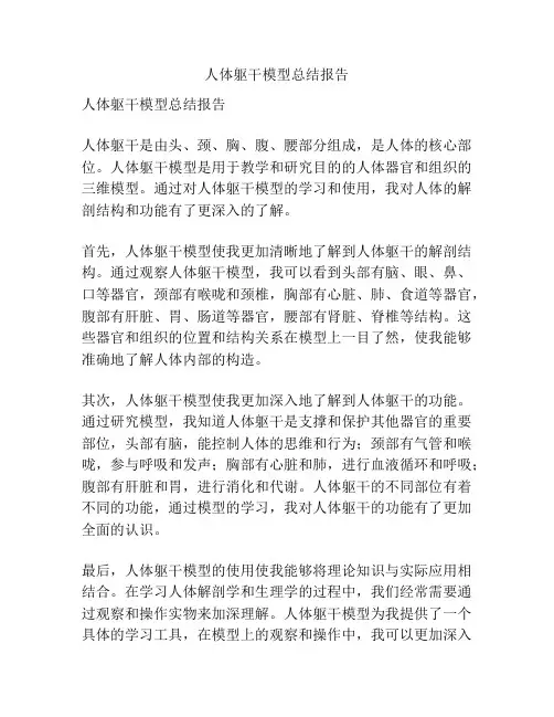 人体躯干模型总结报告