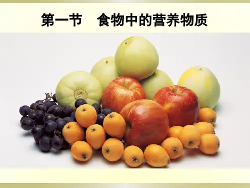 食物中的营养物质2018