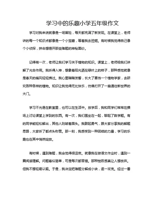 学习中的乐趣小学五年级作文