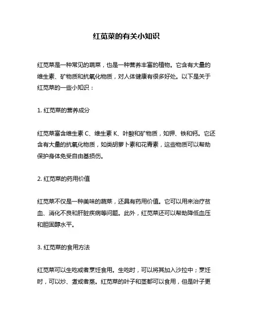 红苋菜的有关小知识