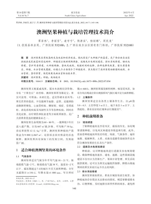 澳洲坚果种植与栽培管理技术简介