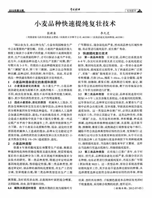 小麦品种快速提纯复壮技术