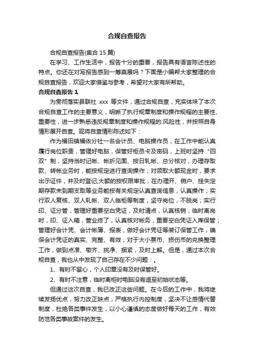 合规自查报告