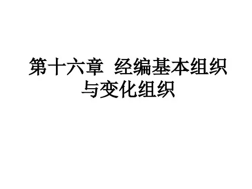 针织学 第十六章 经编基本组织与变化组织