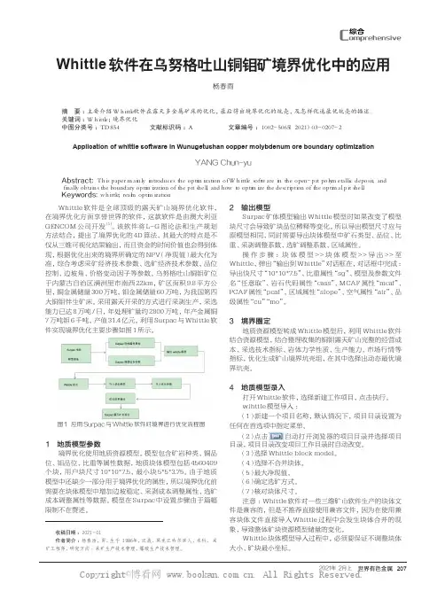 Whittle软件在乌努格吐山铜钼矿境界优化中的应用