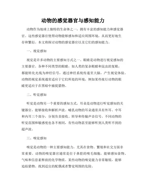 动物的感觉器官与感知能力